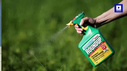 At Least 8,000 Lawsuits Now Directed at Bayer's Monsanto