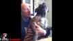 Funny Staffordshire Bull Terrier Videos 2017 - Funny Dogs Video