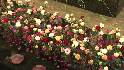 독일 장미축제 빛낸 한국 / YTN