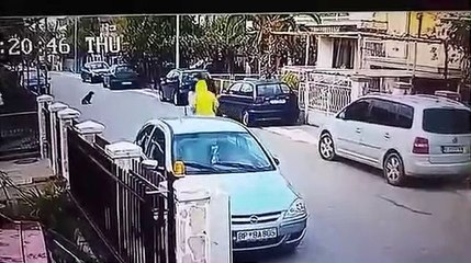 O momento incrível em que um cachorro abandonado salva mulher inocente de um assaltante