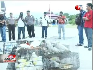 Lagi, Polisi Gagalkan Penjualan Burung Langka