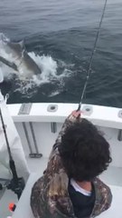 ¡Increíble! ¡Pescan un pez y se lo come un tiburón!