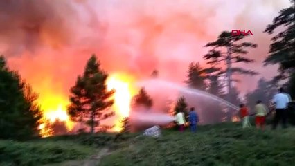 Kastamonu'da Orman Yangını