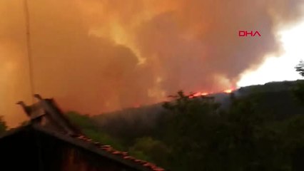 Kastamonu'da Orman Yangını