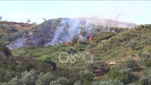 Ora News - Zjarr në Lushnje, digjen 10 hektarë me ullishte