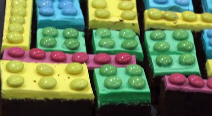 The Lego Brick Adventure!