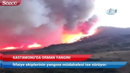 Kastamonu’da orman yangını