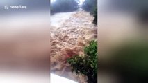 Filmer captures raging floodwaters as hurricane bears down on Hawaii