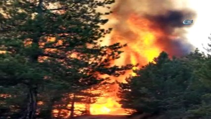 Kastamonu'da 20 dönümlük orman arazisi alev alev yandı