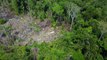 Un drone capture les images d'une tribu isolée en amazonie encore jamais filmée