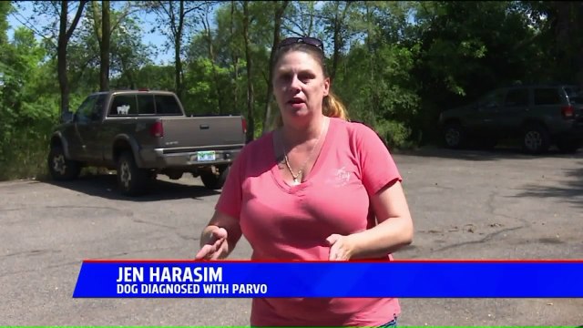 Woman Issues Warning After Dog Contracts 'Parvo' Virus Despite Being Vaccinated