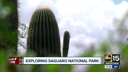 National Park celebrates 102nd birthday