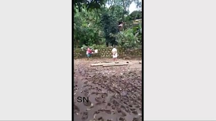 ഇങ്ങനെത്തെ സംഭവം കണ്ടാൽ ഇതുപോലെ വേണം ചെയ്യാൻ...അതല്ലേ ശരി ? | Malayalam News