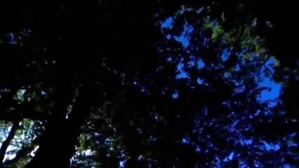 Extreme Ghost Stories - S01E02 - They Never Left