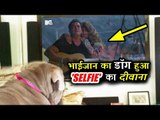 सलमान खान का कुत्ता हुआ रेस 3 को लेकर SELFISH | जानिए पूरी कहानी