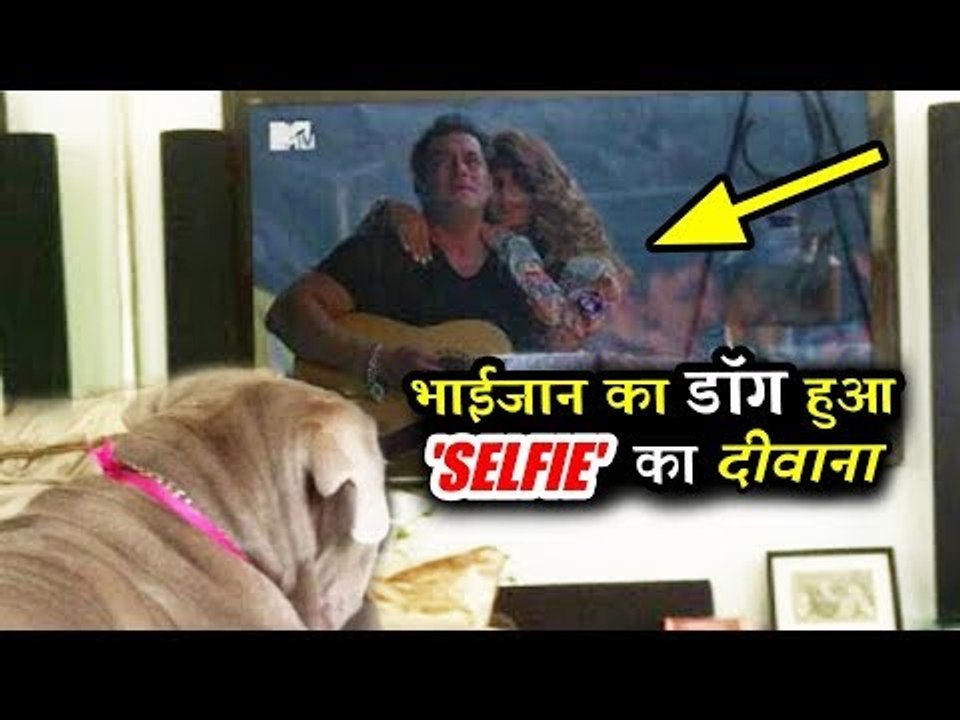 सलमान खान का कुत्ता हुआ रेस 3 को लेकर SELFISH | जानिए पूरी कहानी