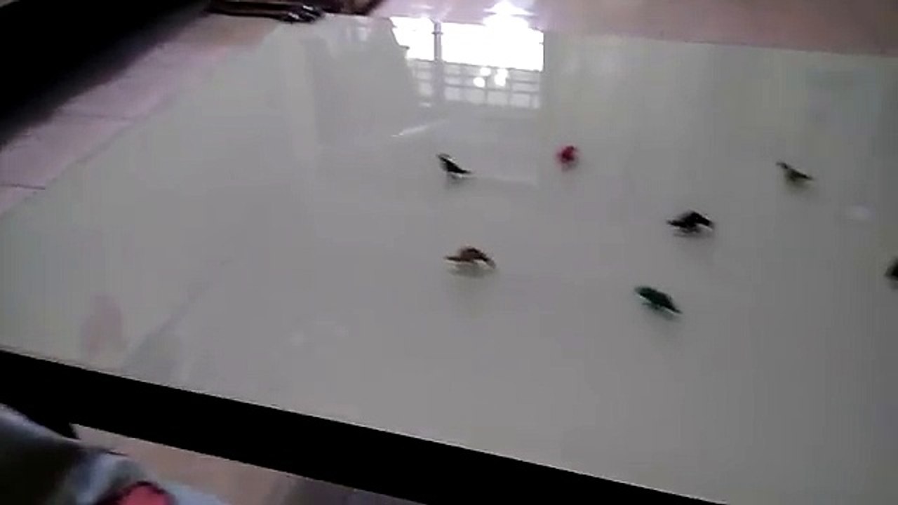 恐龙世界