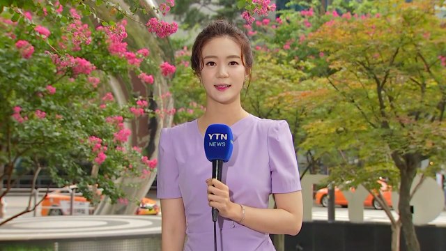 [날씨] 중부 국지성 호우...곳곳 시간당 40mm 강한 비 / YTN