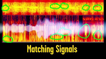 5 Bambini dagli Occhi Neri ripresi in Video