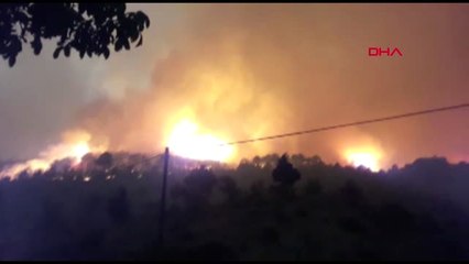 Kastamonu'da Orman Yangını