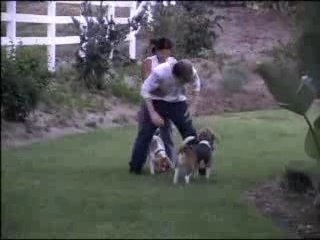 Skate Video's - 411 VM Jamie Thomas