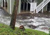 Residents Endure Flooding in Hilo, Hawaii, Amid Hurricane Lane