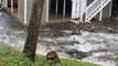Residents Endure Flooding in Hilo, Hawaii, Amid Hurricane Lane