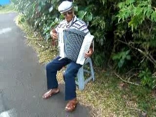 ti fleur fané 974  sur la route menant à Saint-Philippe