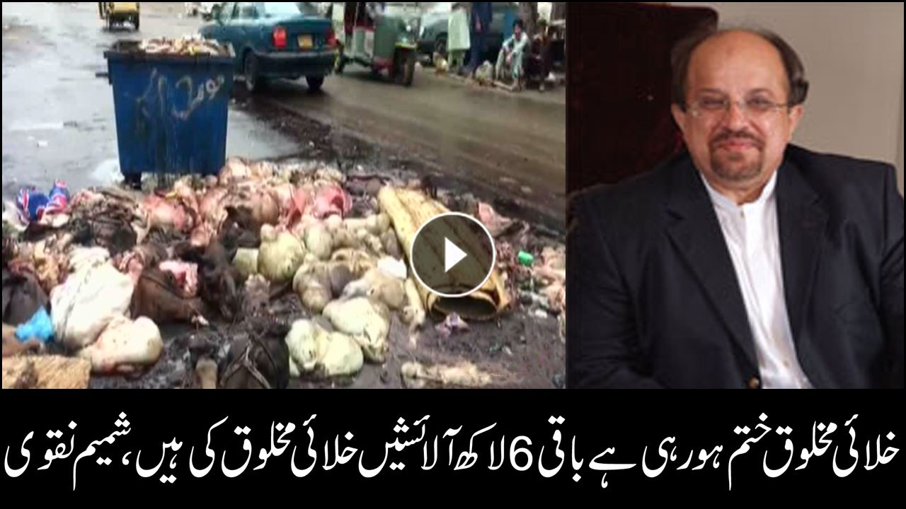 Shamim Naqvi mocks Saeed Ghani's statement about animal sacrificial