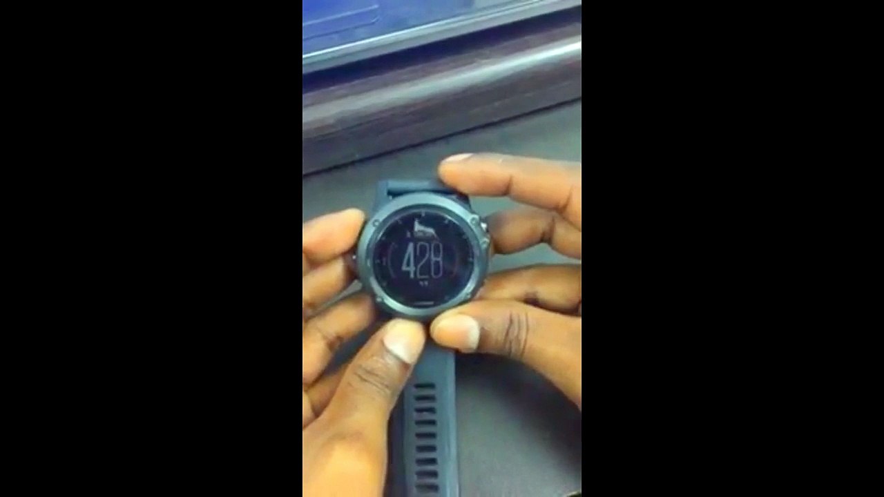 reset garmin 235
