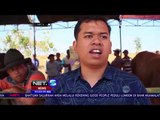 Kontes Sapi Tahunan Kembali Digelar-NET5