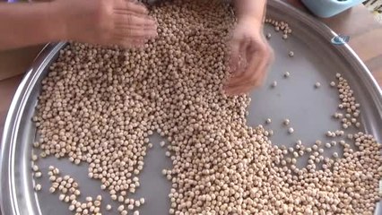 Ağın Leblebisine Talep Çoğaldı, Üretim Yüzde 300 Arttı