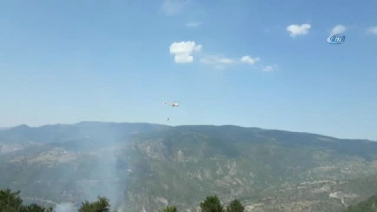 Ormanlık Alanda Çıkan Yangın Kontrol Altına Alındı