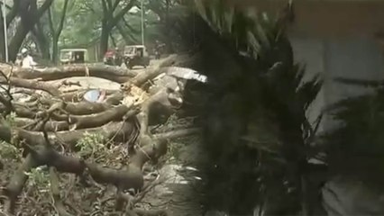 ಮುಂದಿನ 3 ದಿನಗಳು ಬೆಂಗಳೂರಿನಲ್ಲಿ ಭಾರೀ ಮಳೆಯ ಮುನ್ಸೂಚನೆ   | Oneindia Kannada