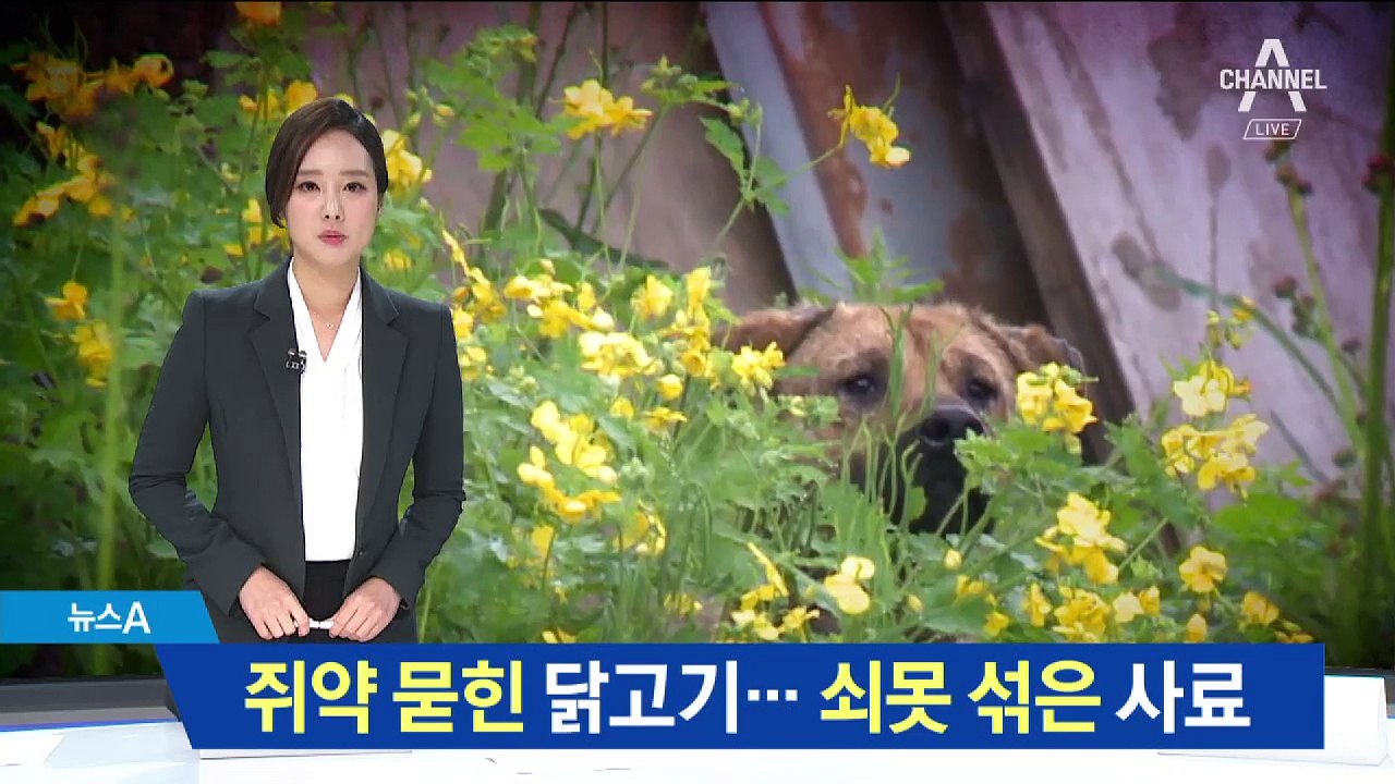 쥐약 묻힌 닭고기·쇠못 섞은 사료…동물 학대 심각