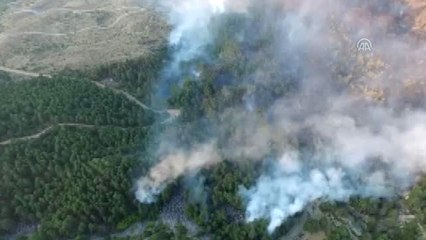 Kastamonu'daki Orman Yangını Söndürüldü