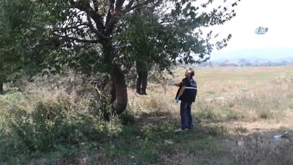 33 Yaşındaki Adam Tarlada Ağaca Asılı Halde Bulundu