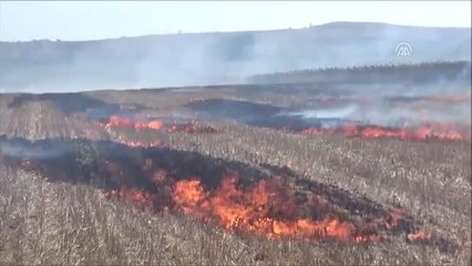 Silivri'de Anız Yangını