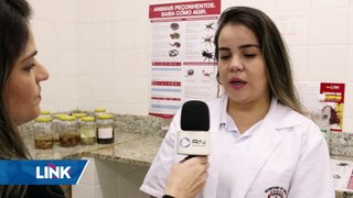 Aracruz adota medidas preventivas contra ocorrência de escorpiões