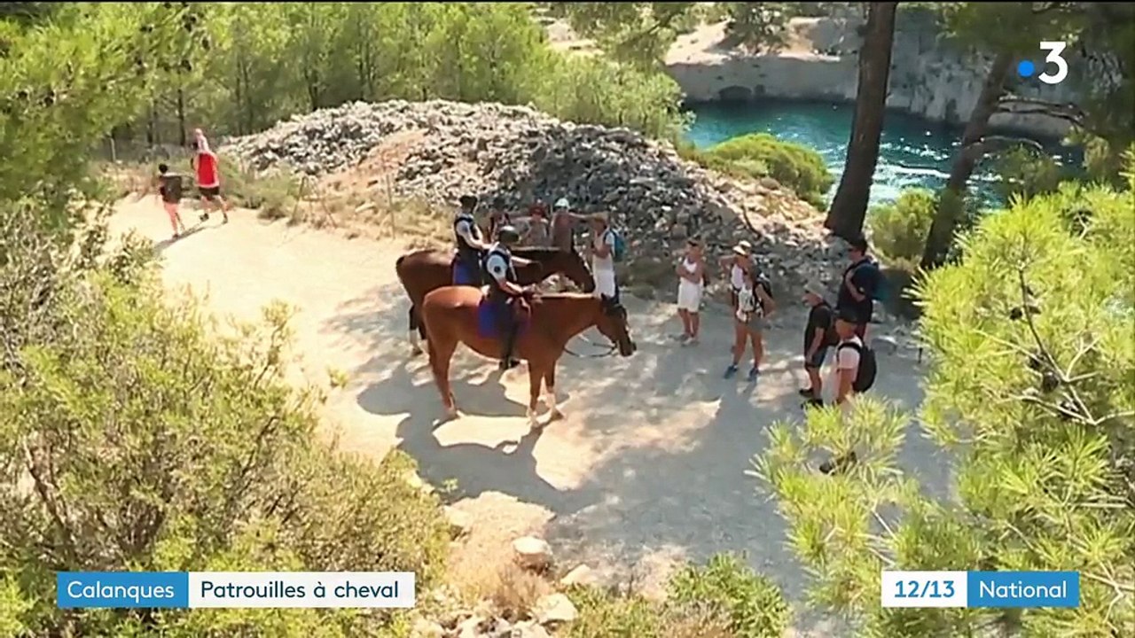 Calanques : patrouilles à cheval