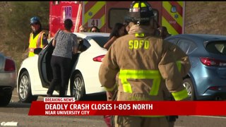 Deadly Crash Closes I-805 North (McSkillet)