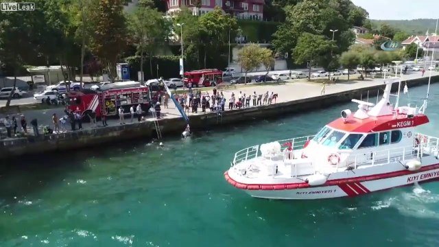 Sauvetage impressionnant d'un cheval tombé dans l'eau !