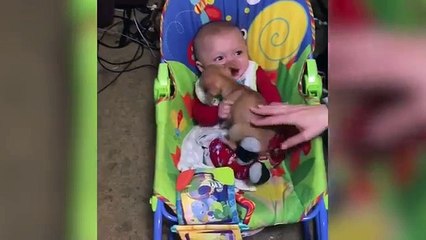 Most Adorable Animal and Baby Compilation 2018 | Funny Pet Videos