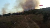 Balıkesir Erdek'te Çoban Ateşi Ormanı Yaktı