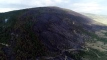 Kastamonu'da Orman Yangının Enkazı Havadan Görüntülendi