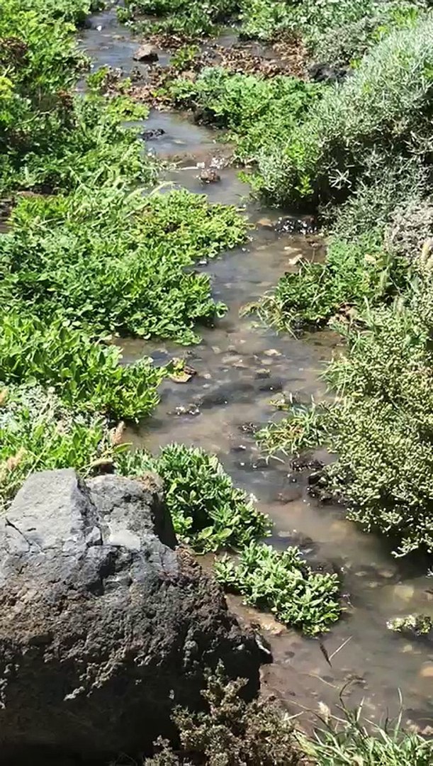 Nuevo vertido en Montaña Pelada, en Granadilla