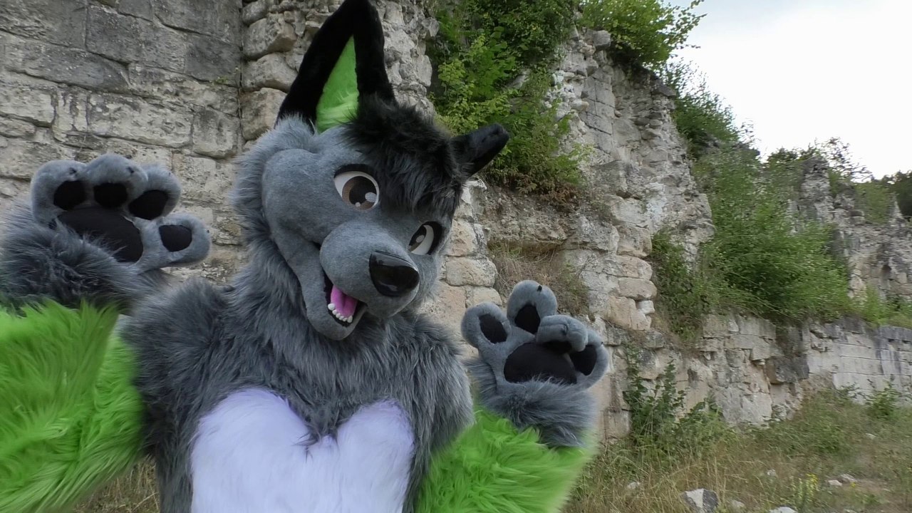 wolfoup Fursuit