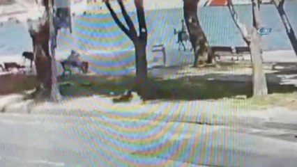 Sarıyer'de Atın Binicisiyle Birlikte Denize Düşme Anı Kamerada