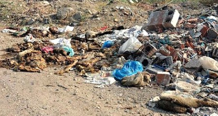 Kesilen Kurbanların Atıkları Çevreye Bırakılınca Mahalleli İsyan Etti!