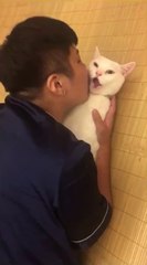 Ce chat déteste les bisous